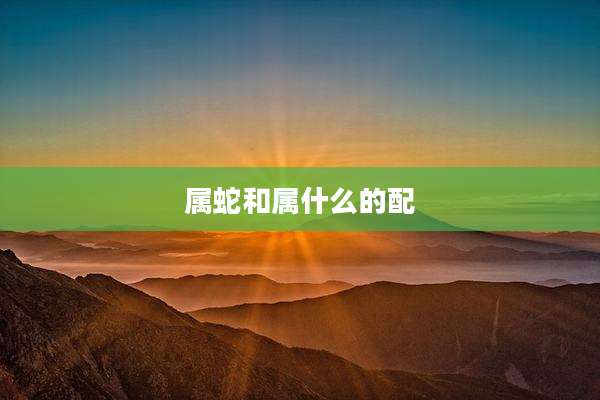 属蛇和属什么的配