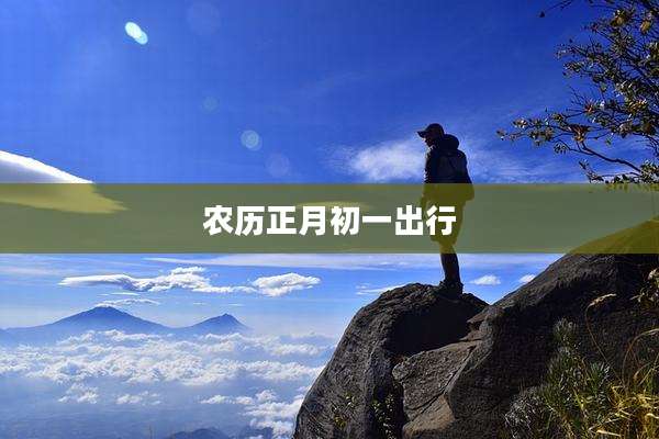 农历正月初一出行