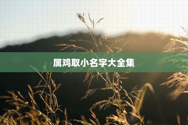 属鸡取小名字大全集