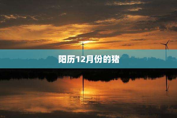 阳历12月份的猪