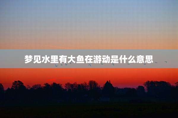 梦见水里有大鱼在游动是什么意思