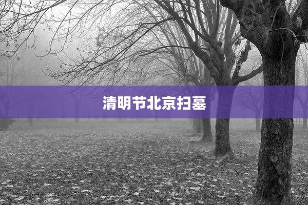 清明节北京扫墓
