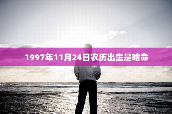 1997年11月24日农历出生是啥命