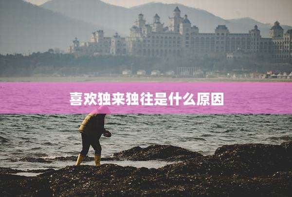 喜欢独来独往是什么原因