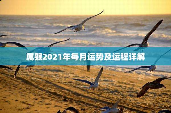 属猴2021年每月运势及运程详解