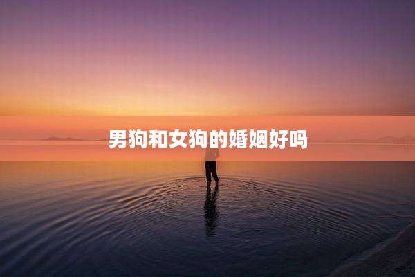 男狗和女狗的婚姻好吗