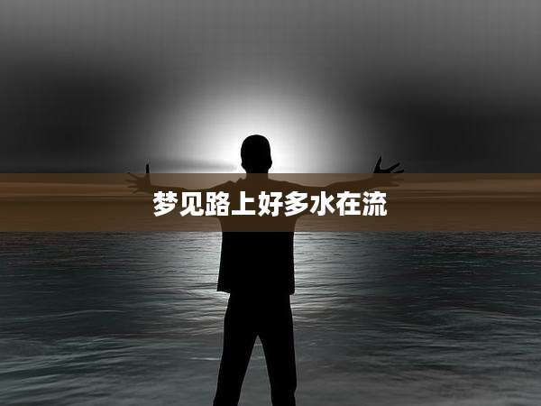 梦见路上好多水在流