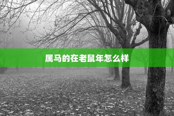 属马的在老鼠年怎么样