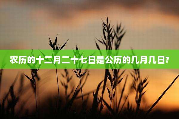 农历的十二月二十七日是公历的几月几日?