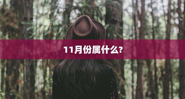11月份属什么?