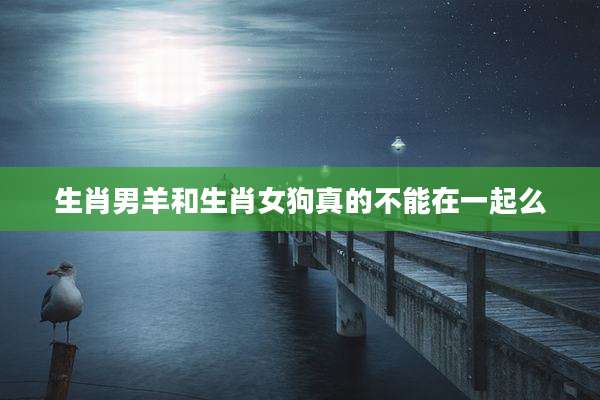 生肖男羊和生肖女狗真的不能在一起么