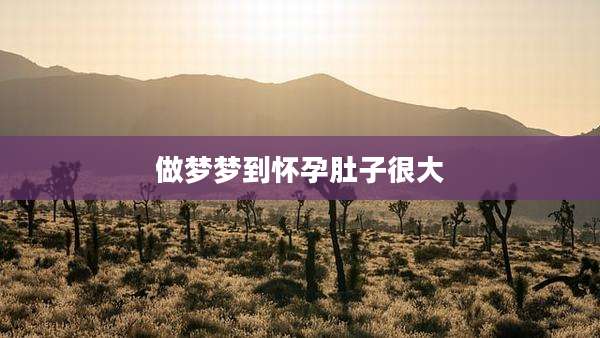 做梦梦到怀孕肚子很大