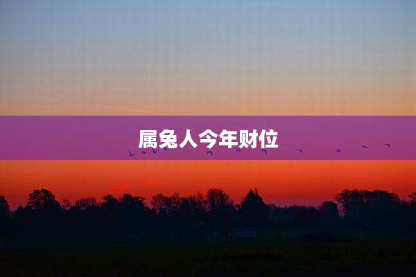 属兔人今年财位