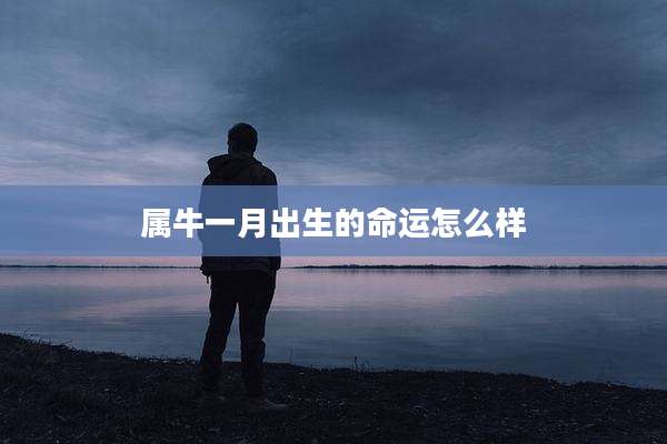 属牛一月出生的命运怎么样