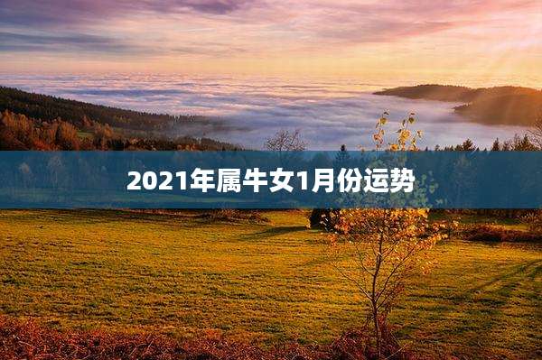 2021年属牛女1月份运势