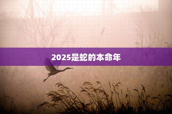 2025是蛇的本命年