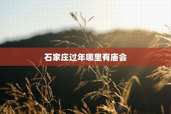石家庄过年哪里有庙会