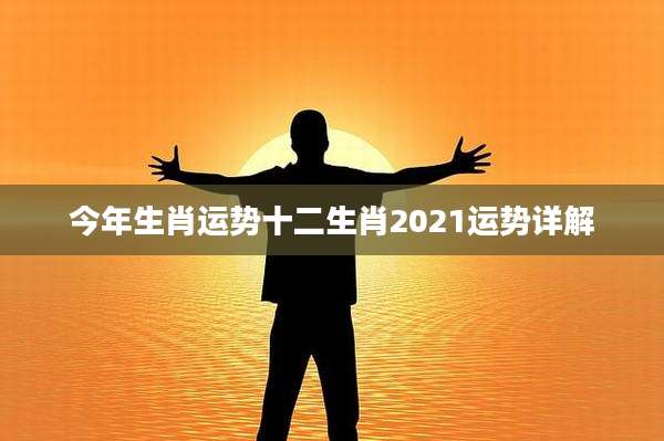 今年生肖运势十二生肖2021运势详解