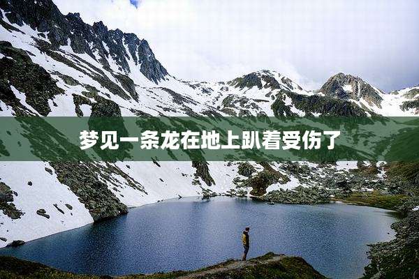 梦见一条龙在地上趴着受伤了