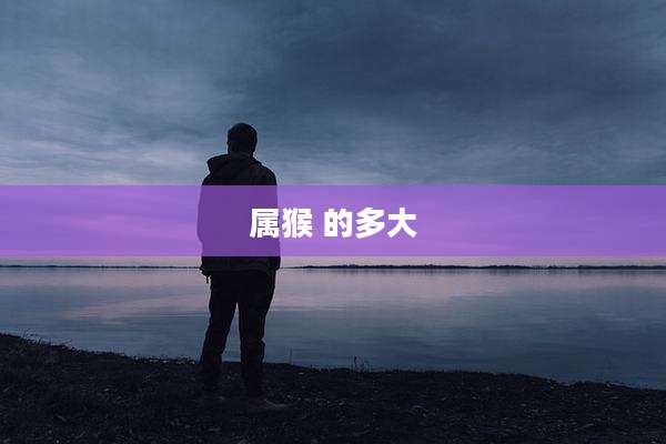 属猴 的多大