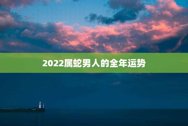 2022属蛇男人的全年运势