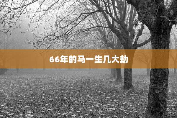 66年的马一生几大劫