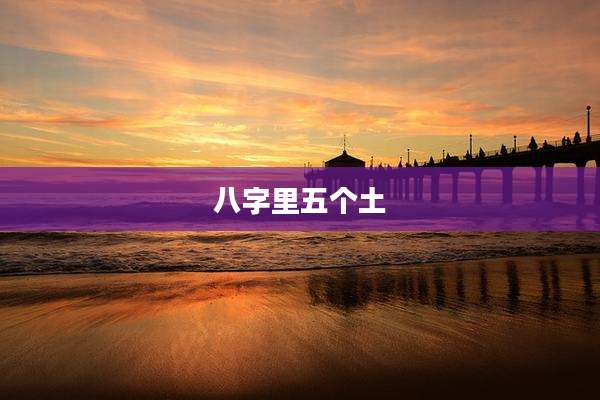 八字里五个土