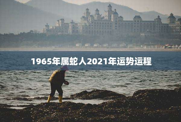 1965年属蛇人2021年运势运程