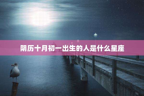 阴历十月初一出生的人是什么星座