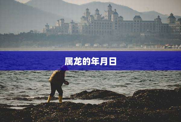 属龙的年月日