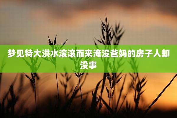 梦见特大洪水滚滚而来淹没爸妈的房子人却没事