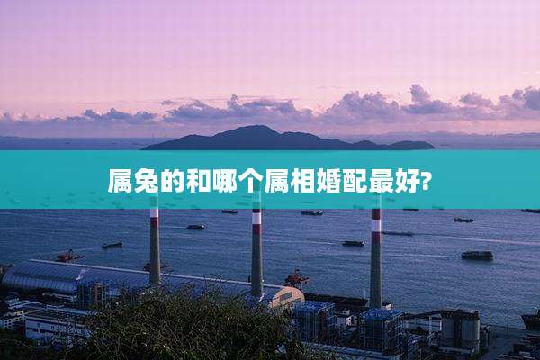 属兔的和哪个属相婚配最好?