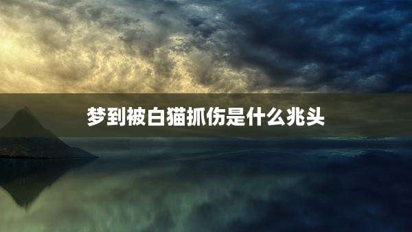 梦到被白猫抓伤是什么兆头