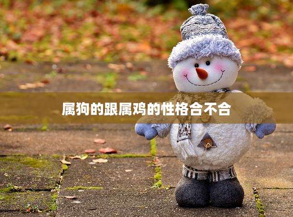 属狗的跟属鸡的性格合不合