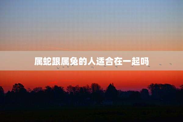 属蛇跟属兔的人适合在一起吗