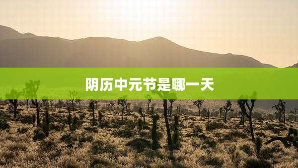 阴历中元节是哪一天