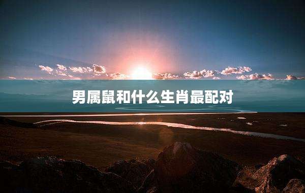 男属鼠和什么生肖最配对