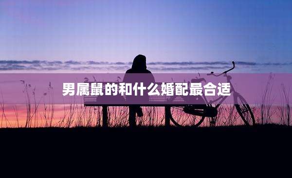 男属鼠的和什么婚配最合适