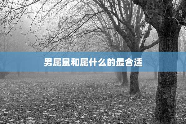 男属鼠和属什么的最合适