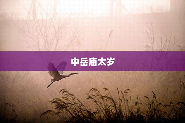 中岳庙太岁
