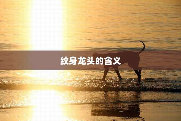 纹身龙头的含义