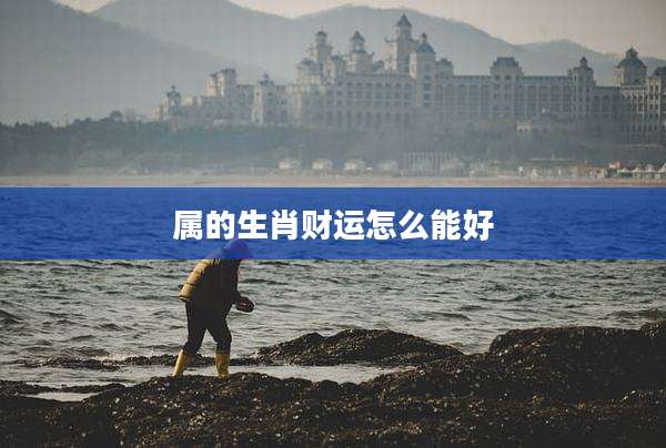 属的生肖财运怎么能好