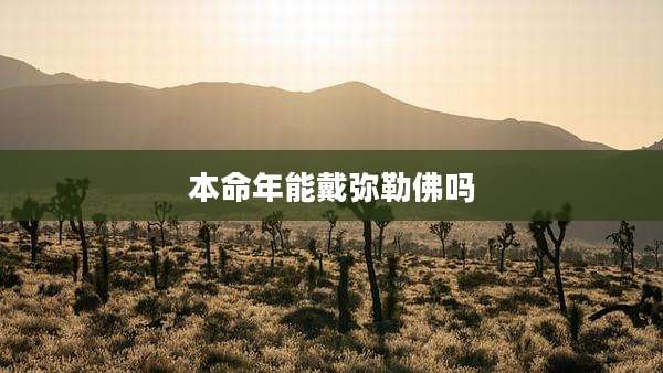 本命年能戴弥勒佛吗