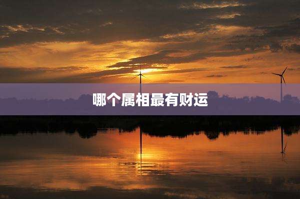哪个属相最有财运