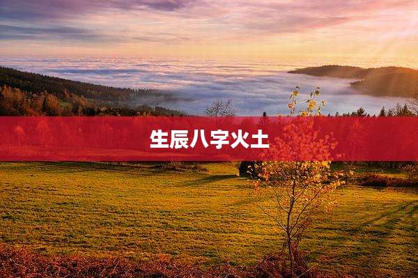 生辰八字火土