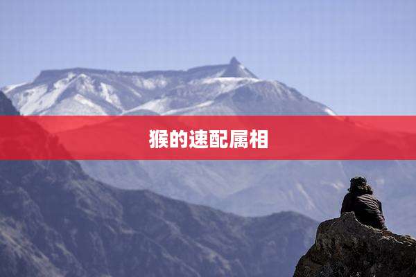 猴的速配属相