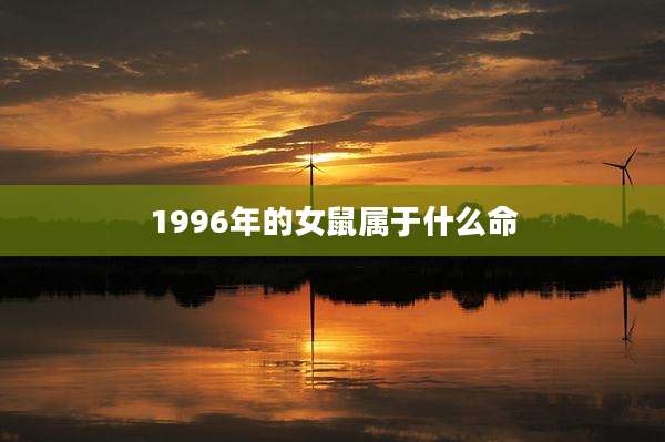 1996年的女鼠属于什么命