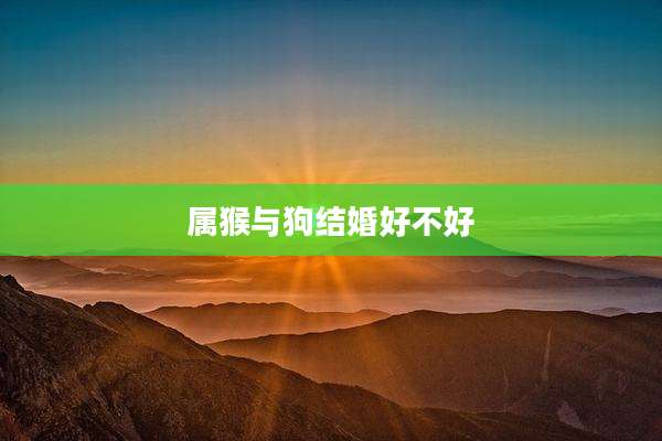 属猴与狗结婚好不好