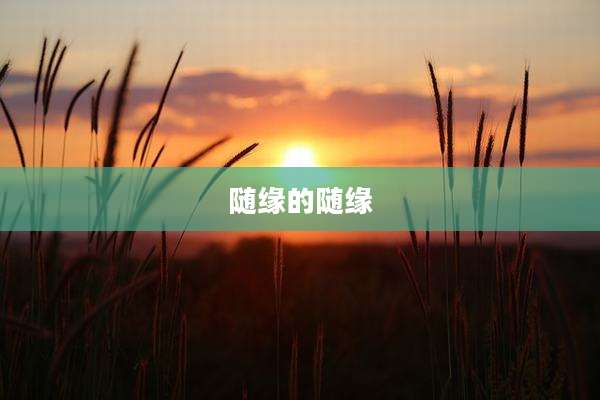 随缘的随缘