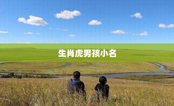 生肖虎男孩小名